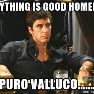 Meet your Posher, Joey